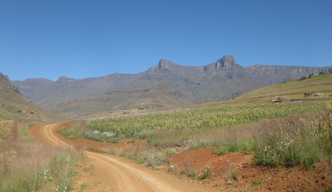 Off the Beaten track